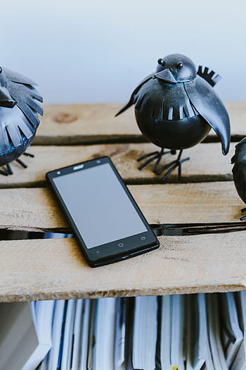 少し、 黒い、 プラスチックの鳥、 スマートフォン、 棚、 少し黒い、 プラスチック、 鳥、 モバイル、 偽物、 おもちゃ