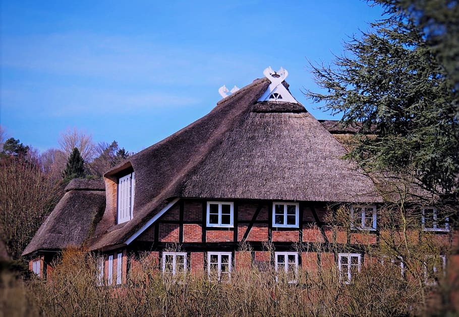 house, thatched cottage, truss, the north-german type, architecture, building, brown clinker bricks, crossed horse heads, typical, original, worth a visit