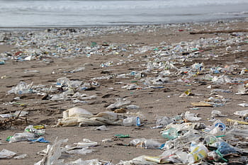 pile, garbage, seashore, daytime, environment, beach, pollution, waste, waste disposal, plastic, plastic waste