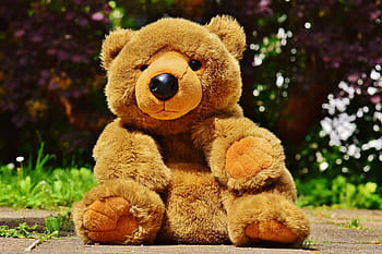 teddy, plush, toys, funny, cute, bears, sweet, fun, teddy bear, bear, children toys