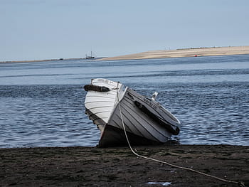 white, dinghy boat, sand, body, water, brown, boat, day, time, transportation, rope