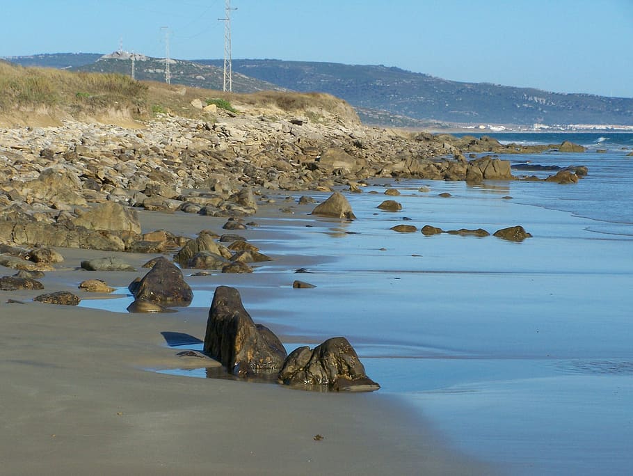 Shore, Beach, Rocks, Sea, costa, blue, the botero beach, barbate, animals in the wild, water, one animal