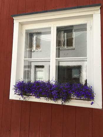 Finsko, okno, starý, architektura, budova, Skandinávie, Evropa, cestovat, vnější, finština, letní