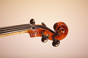 hnědý houslový vřeteník, hudební nástroj, klasický, hudba, nástroj, hrál, hobby, hudebníků, housle, smyčcové nástroje, orchestr