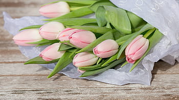 pink, tulip flowers, top, brown, table, flower, tulip, nature, plant, bouquet, leaf