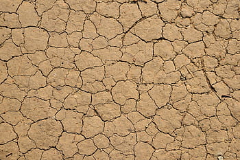 dry brown soil, earth, ground, texture, soil, brown, surface, dirt, land, nature, cracked