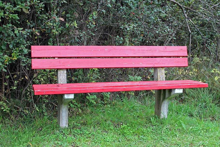 bench, bank, red, seat, nature, sit, click, rest, forest, rest pause, relax