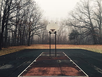 cancha de baloncesto, negro, blanco, baloncesto, aro, cancha, cerca de, árboles, foto, red, aros