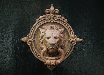 copper-colored lionhead door-knob, door handle, door, door lock, doorknocker, brass, metal, close door handle, door knob, close, handle