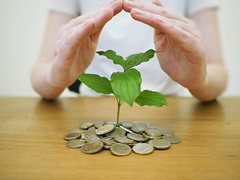 money back up, save money, save, bank, coins, economy, invest, wealth, finance, currency, bust
