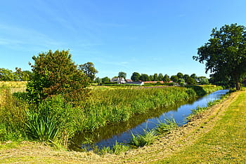 holandské krajiny, polder, vodní cesty, pole, strom, hospodařit, venkov, venkovský, ploché, rákosí, Nizozemí