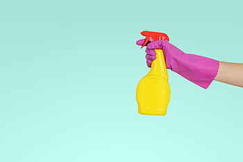 Hand, gloves, holds, spray, bottle., bathroom, bottle, chemical, clean, cleaner, cleaning