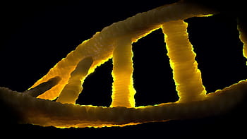 molekulární vazba, dna, dns, biologie, genetický materiál, dvojitá spirála, molekula, adeninu, thymin, guanin, cytosinu