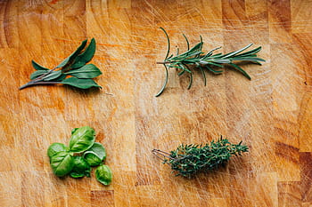 fresh green herbs, herbs, basil, fresh, green, rosemary, sage, thyme, spice, herb, wood - Material