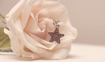 silver-colored star pendant, white, rose, yust for you, saying, love, faded, embassy, map, greeting card, postcard