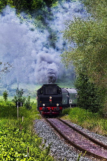 train, railway, daytime, steam locomotive, tank locomotive, museum railway, steam railway, museum train, passenger train, engine, historically