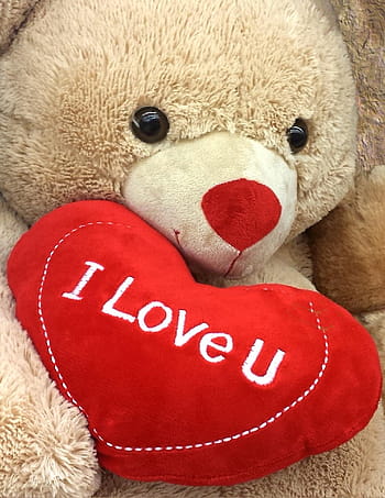 brown, bear, holding, i love, u, pillow, i love you, love, heart, red, teddy bear