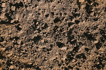 primeros planos de superficies, superficies, primeros planos, primer plano, fondo, pared, superficie, tierra, suelo, ventana, naturaleza
