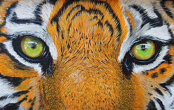 detailní fotografie, tygři oční malování, detail, fotografie, tygří oko, malování, tygr, oči, dravec, dlaždice, nástěnná malba