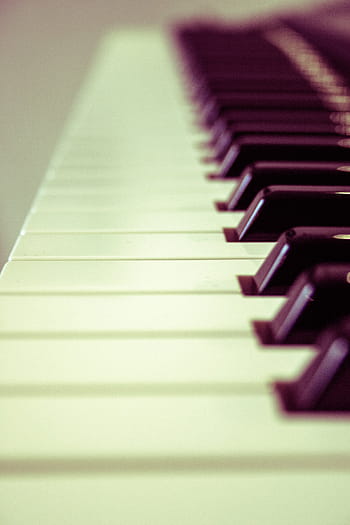 shallow, focus photography, piano keys, keyboard, organ, piano, music, instrument, piano key, musical instrument, arts culture and entertainment