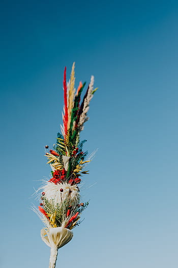 pascua, cristiana, iglesia, celebración, folk, polaco, Polonia, religión, tradición, tradicional, niedziela palmowa