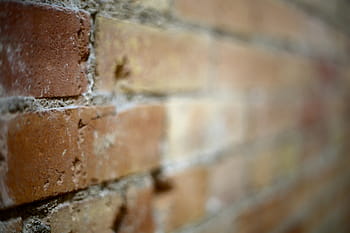 tilt shift photography, brown, brick wall, brick, wall, texture, old, dirty, aged, grunge, backdrop