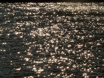Water, Back Light, Sparkle, Flash, Wave, gopher, dazzling, backgrounds, nature, sea, abstract