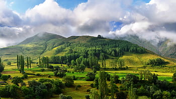 zelená, hora, stromy, modrý, nebe, během dne, krocan, Příroda, krajina, kaçkars, přírodní krůta