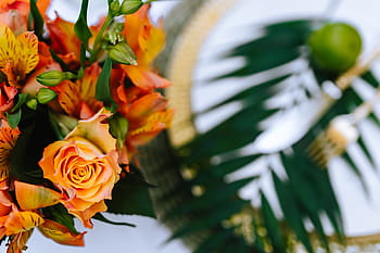 Colorido, Exótico, Flores, Verdura, flora, folha, folhas, tropical, multicolorido, natureza, buquê