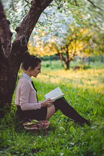 femme, séance, vert, pelouse, arbre, lisant un livre, jour, personnes, fille, en train de lire, livre