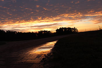 bayangan hitam, pohon, matahari terbenam, abu-abu, batu bata, jalur, senja, rumput, dataran tinggi, lanskap, alam