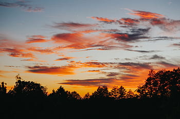 floresta, Pôr do sol, natureza, céu, árvores, atmosférica, nuvens, crepúsculo, laranja Cor, paisagem, nuvem - céu