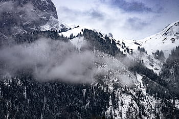 landscape photo, mountain, covered, stone, black, white, snow, valley, tree, plant, nature