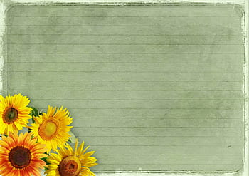 gray chalk board, flowers, frame, sunflower, background image, vintage, lined, scrapbooking, empty, copy space, decoration
