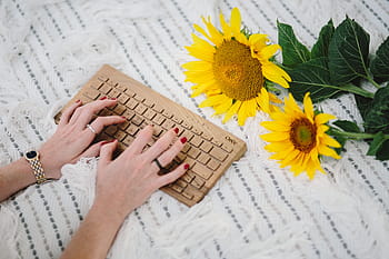 descansando, cobertor, fêmea, menina, verão, mulher, branco, tecnologia, teclado, digitando, tempo