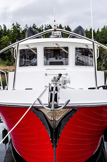 white, red, cabin cruiser, placed, shoreline, boat, yacht, travel, adventure, dock, deck