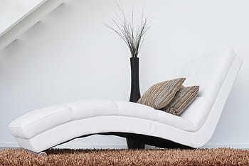 white, leather lounger sofa, top, brown, area rug, couch, sofa, furniture, furniture pieces, relax, living room