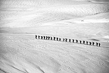 mennesker, gå, sne, dækket, jord, trekking, vandring, gruppe, alpine, linje, eventyr