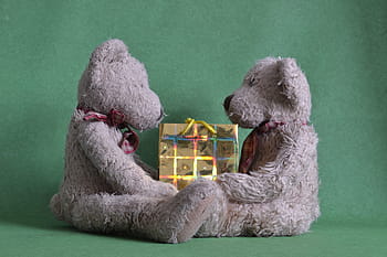 zwei, grau, Bär, Plüsch-, Spielzeuge, gegenüber, vorhanden, teilen, Paket, Geschenk, Weihnachten
