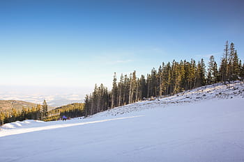 biru, langit, Lereng Ski, Langit Biru, austria, dingin, hutan, bukit, gunung, alam, panorama