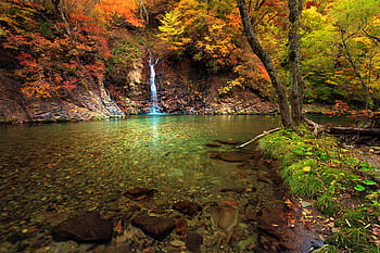 風景、 急流、 天然水、 小さな滝、 秋、 紅葉、 赤石川、 しらかみさんち、 世界遺産地域、 青森県、 日本