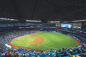 notte, stadio di baseball, di notte, vario, folla, fan, erba, persone, sport, gli sport, stadio