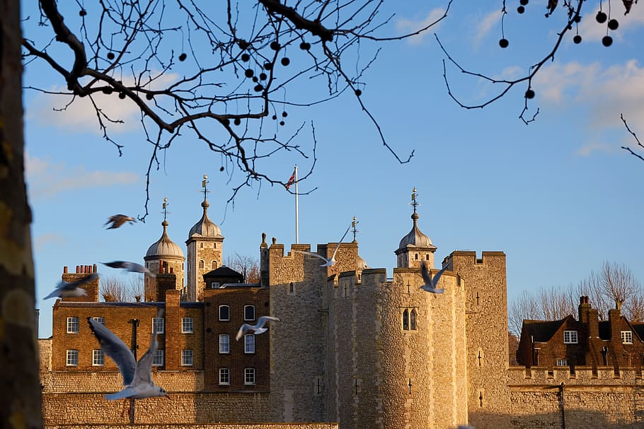 tower of london, london, tower, england, united kingdom, places of interest, landmark, architecture, fortress, building, kingdom
