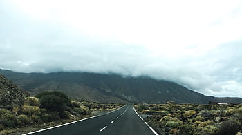 empty, gray, concrete, road, black, asphalt, near, bush, daytime, street, landscape