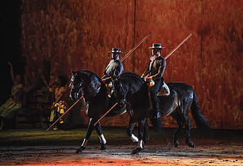 Horses, Horse, Apassionata, garrocha, full length, animal themes, domestic animals, day, outdoors