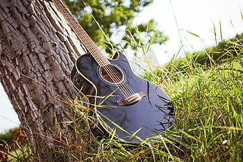 Gitar, Cerah, Rumput, pohon, di luar ruangan, alam, musik, sepatu, musim panas, Warna hijau, batang pohon