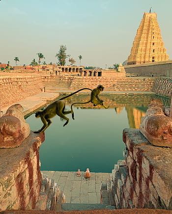 hampi, Indie, Dějiny, unesco, chrám, architektura, struktura, památník