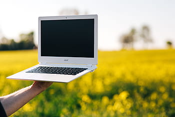 seluler, telepon, bidang perkosaan musim semi, komputer Laptop, telepon seluler, musim semi, perkosaan, bidang, musim panas, bunga, teknologi