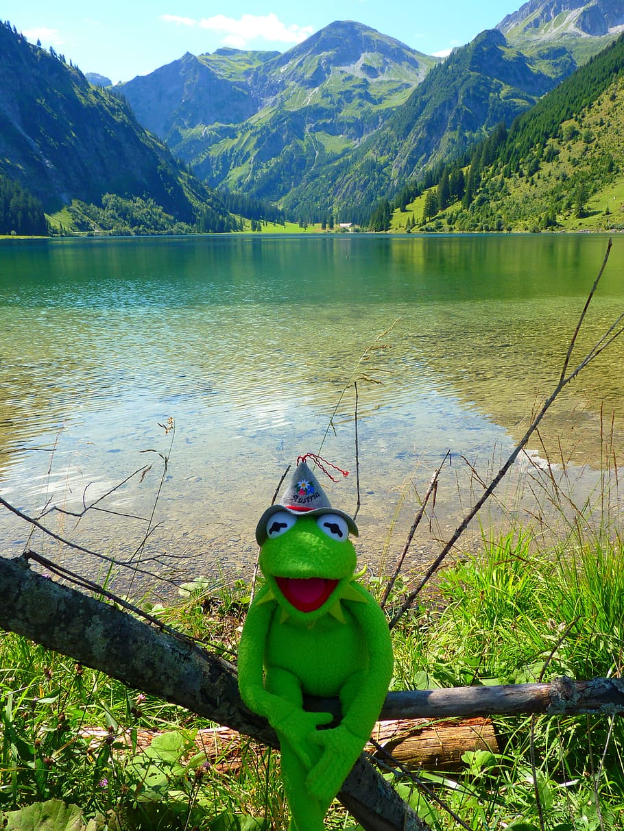 vilsalpsee, 호수, 산, 물, 풍경, 자연, tannheimertal, bergsee, 바다, 볼 혼, 커밋