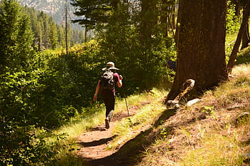 Frau, Wandern, Wald, Natur, Reise, Abenteuer, Landschaft, Person, Gehen, weiblich, Trekking